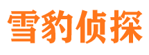 浑源寻人公司